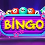 Why Do You Need To Compare Bingo Websites For A Good Bingo Play?